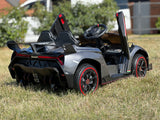 lambo grey back view with doors open 