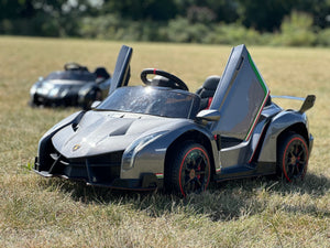 lambo grey front doors up 